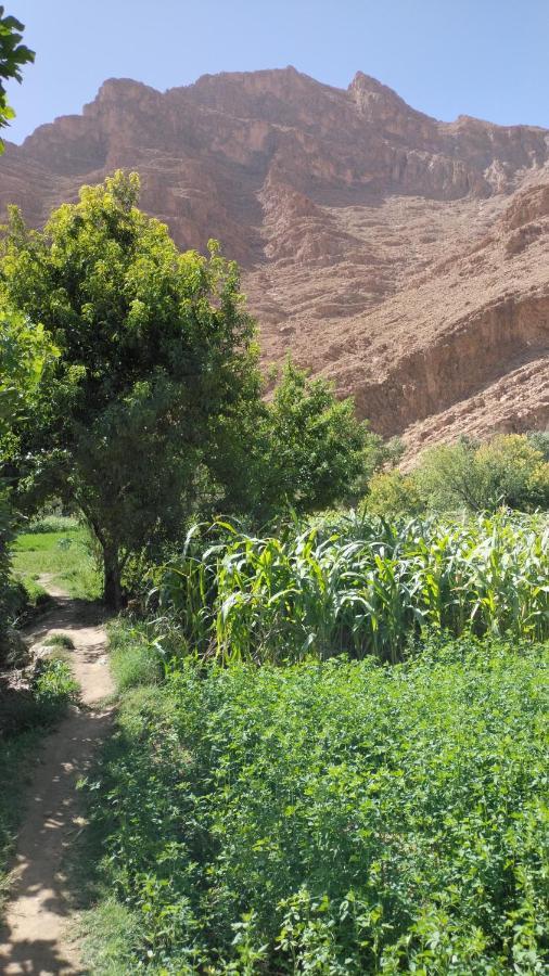 Riad Dar Ahlam Ait Baha Екстер'єр фото